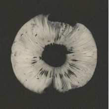 Various - Cycles 2: Cyclic Law's 20th Anniversary Label Sampler