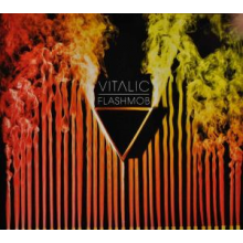Vitalic - Flashmob
