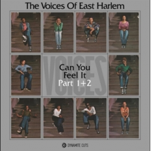Voices of East Harlem - Can You Feel It