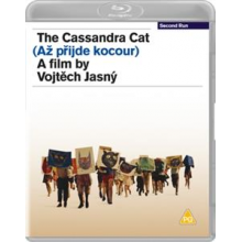 Movie - Cassandra Cat