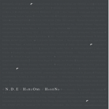 Hosono, Haruomi - N.D.E.