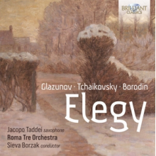 Taddei, Jacopo / Roma Tre Orchestra / Sieva Borzak - Elegy