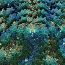 Izangoma - Ngo Ma