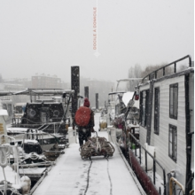 Dizzylez - Docile a Domicile