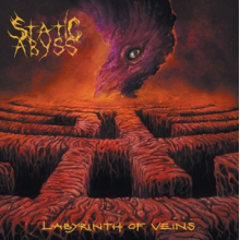 Static Abyss - Labyrinth of Veins