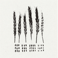 Lo! - Gleaners