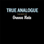 V/A - True Analogue