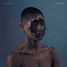 Manchester Orchestra - The Valley of Vision