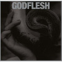 Godflesh - Purge