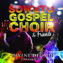 Soweto Gospel Choir - Divine Decade
