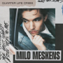 Meskens, Milo - Quarter Life Crisis
