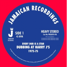 V/A - Every Dub is a Star (10")