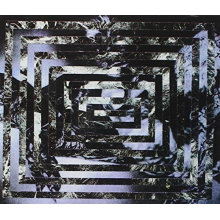 Of Cabbages and Kings - Never Too Late