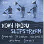 Haidu, Noah - Slipstream