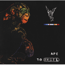 Pitch Black - Ape To Angel