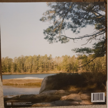 Windser - Where the Redwoods Meet the Sea