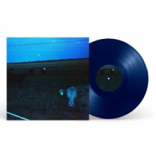 Waveform - Antarctica (Dark Blue)