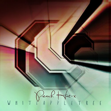 White Apple Tree - Peach Hat X