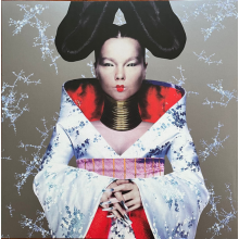 Bjork - Homogenic