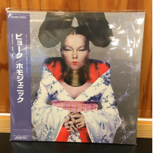 Bjork - Homogenic