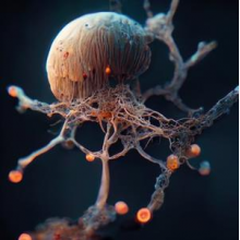 Dettmann, Marcel - Electric Drive