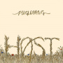 Host - Fuglesang