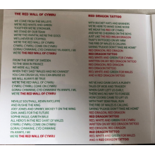 Alarm - Red Wall of Cymru