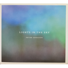 Peter Gregson - Lights In the Sky