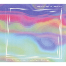 Stick In the Wheel - Perspectives On Tradition