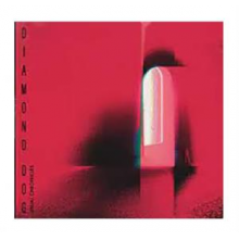 Diamond Dog - Usual Chronicles