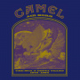 Camel - Air Born - the McA & Decca Years 1973 - 1984