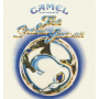 Camel - Music Inspired By the Snow Goose