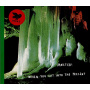 Moster! - When You Cut Into the Present