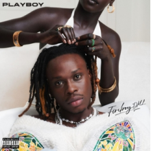 Dml, Fireboy - Playboy
