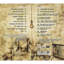 Solar Fake - Another Manic Episode