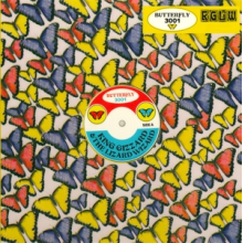 King Gizzard & the Lizard Wizard - Butterfly 3001