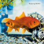 Robbing Banks - This & That -10"-