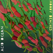 Moody Beaches - Acid Moon