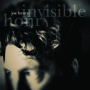 Henry, Joe - Invisible Hour