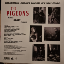 Pigeons - Bird Brain Gang