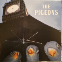 Pigeons - Bird Brain Gang
