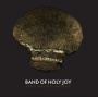 Band of Holy Joy - Fated Beautiful Mistakes