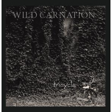 Wild Carnation - Tricycle