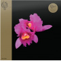 Opeth - Orchid