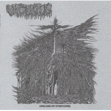 Vacuous - Dreams of Dysphoria