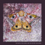 Secret Machines - The Moth, the Lizard & the Secret Machines