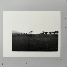 Tolerance - Divin 1981