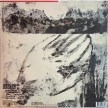 Model - Dogsbody