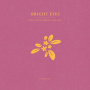 Bright Eyes - Noise Floor: a Companion