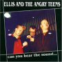 Ellis & the Angry Teens - Can You Hear the Sound
